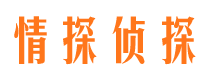 商都市婚姻调查